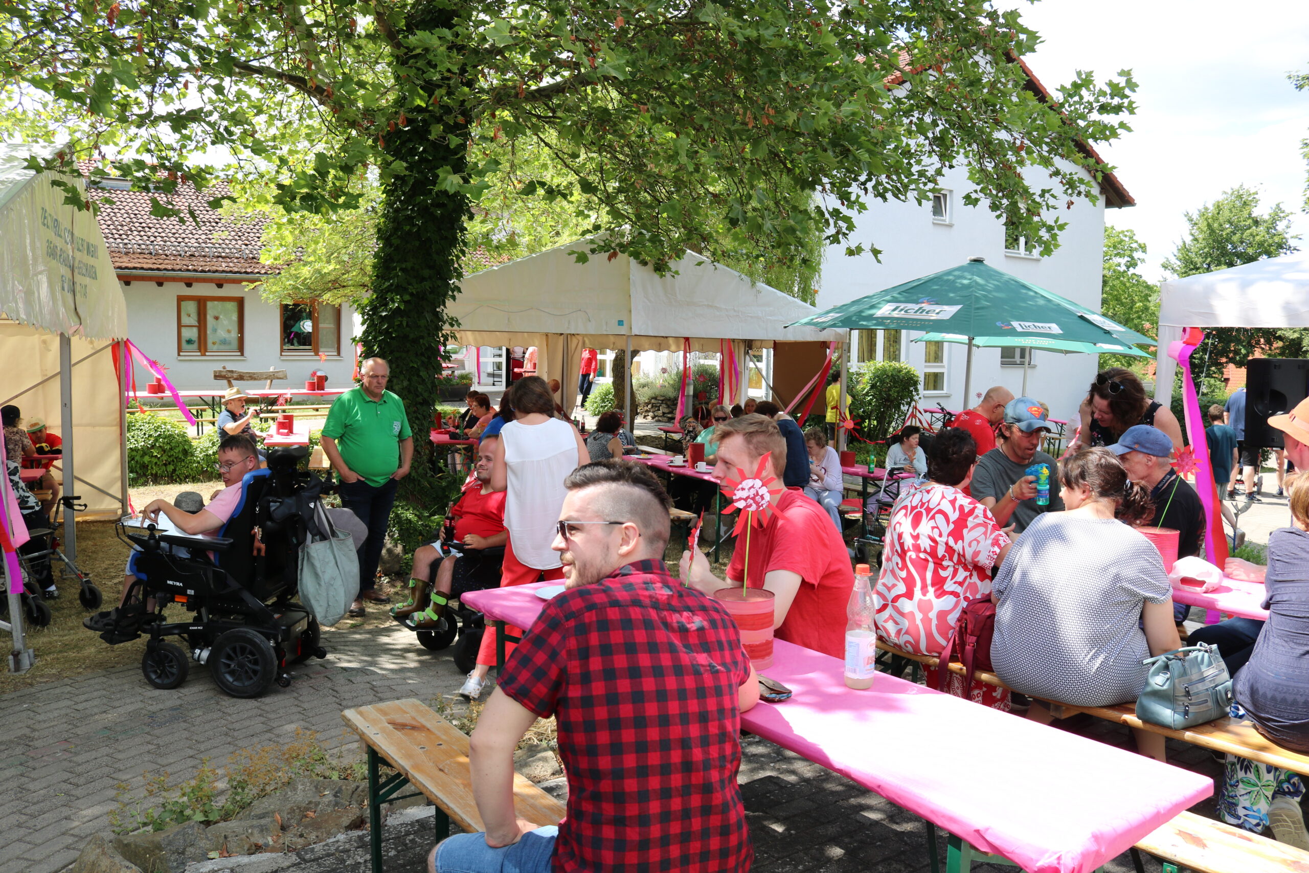 Rosaroter Nachmittag mit Musik